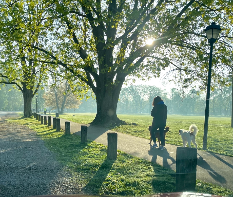 Woman walking her dog in a park